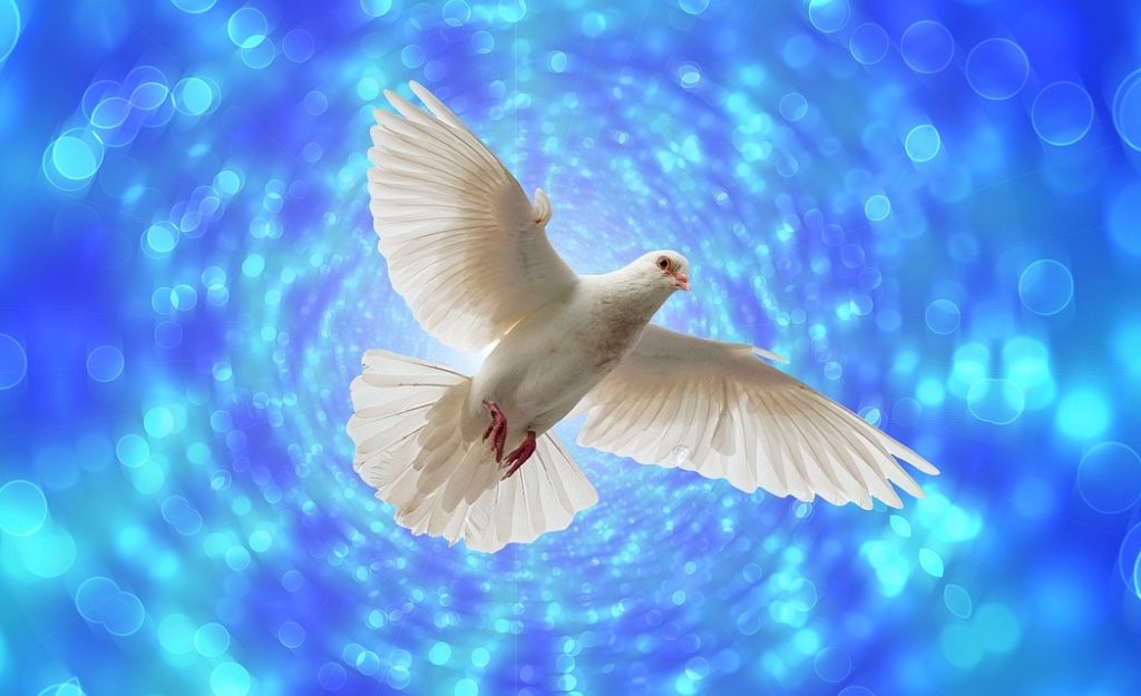 Dove-symbolic of Israel's Security & Peacekeeping